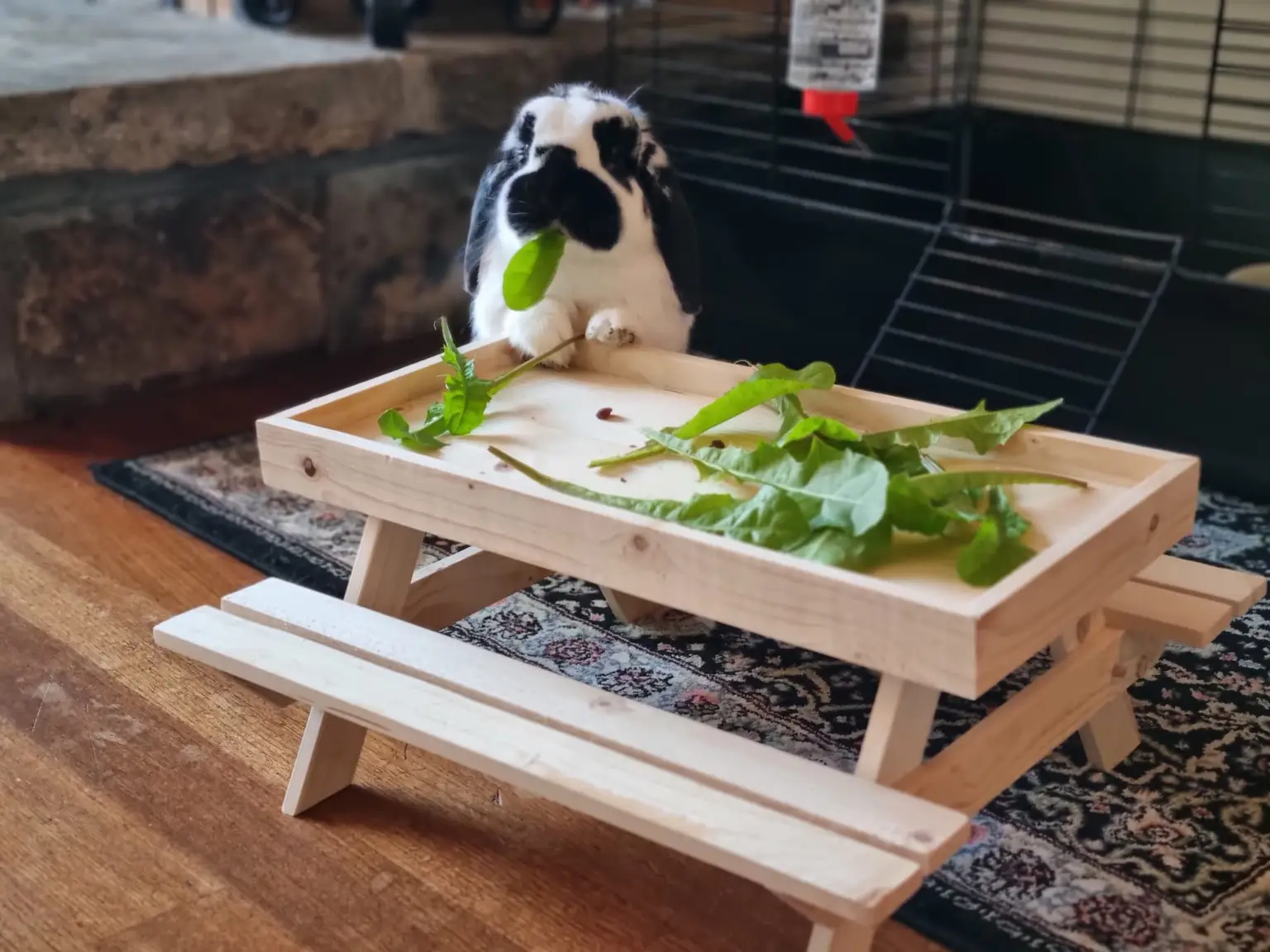 Mini picknicktafels voor je kippen, konijnen, eekhoorns, cavia's of vogels.