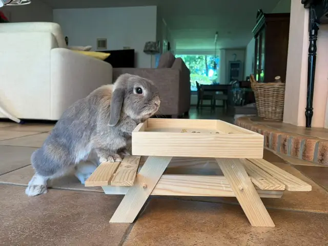 Klantfoto — Millie en Albus