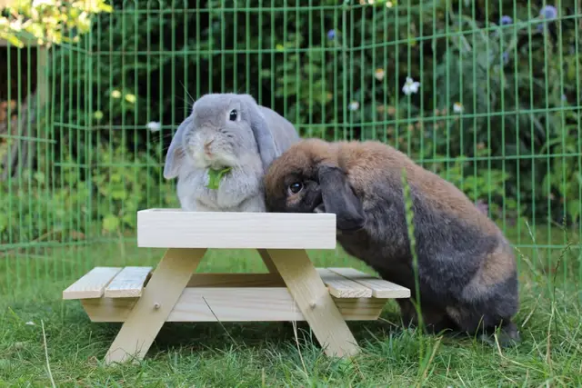 Klantfoto — Millie en Albus