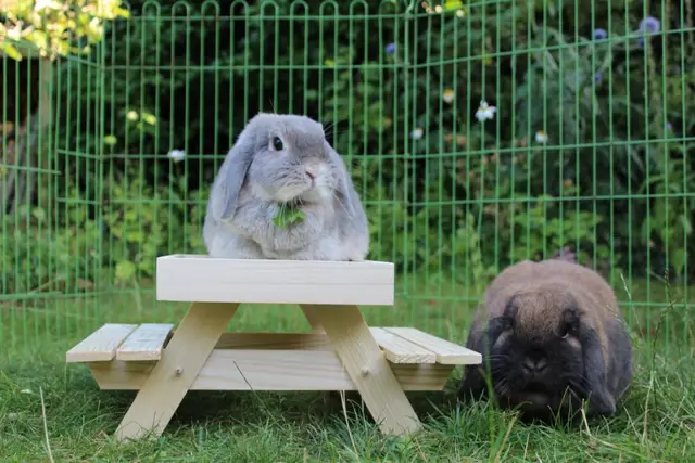 Klantfoto — Millie en Albus